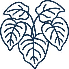 philodendron solid line icon