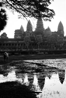 Discovering the Majestic Angkor Wat at Dawn