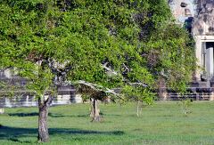 Exploring the Serene Landscape of Angkor Wat in Siem Reap