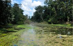 Exploring the Serene Waters of Siem Reap in Cambodia