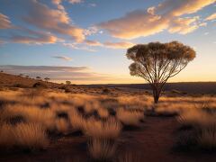 Golden Hour in the South Australian Outback