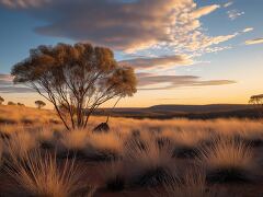 Golden Sunset Over South Australian Outback Landscape