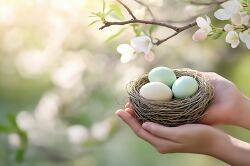 Hands Holding a Nest With Pastel Colored Eggs in Sunlight