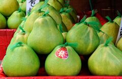 Individually wrapped fruit displays at Singapore market