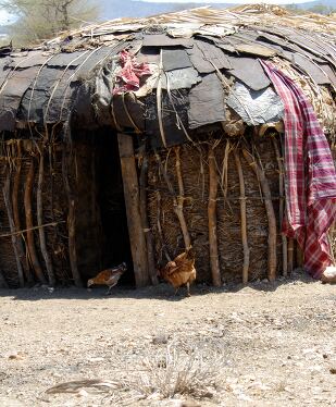 Samburu Tribe Homestead in Rural Kenya Showing Daily Life