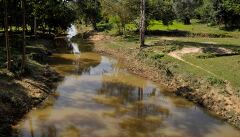 Serenity Along the Riverside in Siem Reap Cambodia