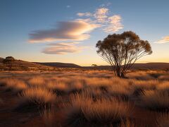 Sunsets Blanket the South Australian Outback Scrub