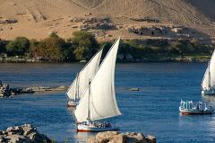 Traditional Sailboats Glide Along the Nile in Aswan