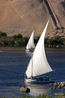 Traditional Sailing Boats on the Nile River in Aswan Egypt