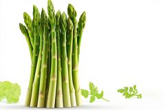 Vivid Green Asparagus Stalks Illustration