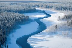 Winter Aerial View Showcases Russian Taiga Landscape