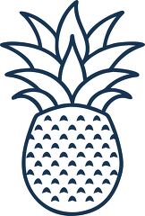 pineapple plant solid line icon