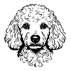 Poodle Face Black Outline Illustration of a Fluffy Dog