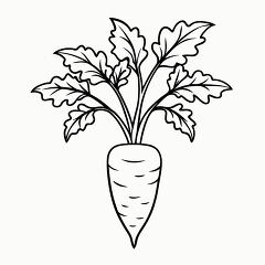 Printable Black Outline of a Carrot Plant for Coloring