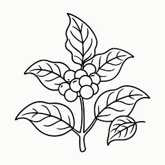 Printable Black Outline of a Coffee Plant With Leaves