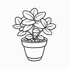 Printable Black Outline of a Jade Plant for Coloring