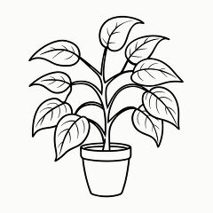 Printable Black Outline of a Pepper Plant for Coloring