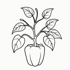 Printable Black Outline of a Pepper Plant for Coloring