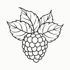 Printable Black Outline of a Raspberry Plant