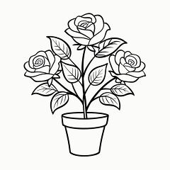 Printable Black Outline of a Rose Plant in a Pot