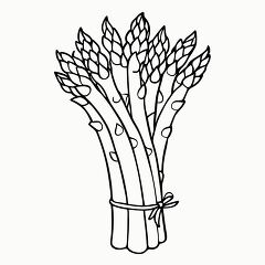 Printable Black Outline of Asparagus for Coloring Fun