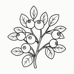 Printable Black Outline of Blueberry Bush for Coloring