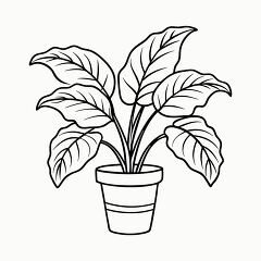 Printable Black Outline of Calathea Plant Design