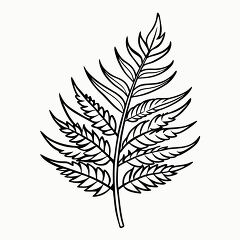 Printable Black Outline of Fern Leaf Design