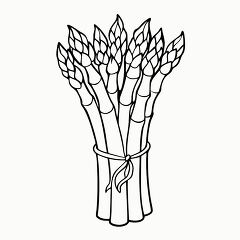 Printable Black Outline of Fresh Asparagus for Coloring