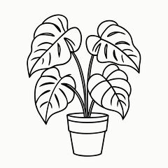 Printable Black Outline of Philodendron Plant Design