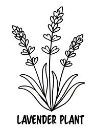 Printable Lavender Plant Outline fwith text Coloring