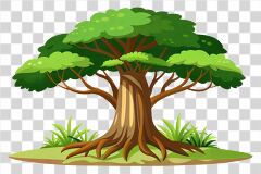 Rainforest Tree With Large Roots in Vector Art Style