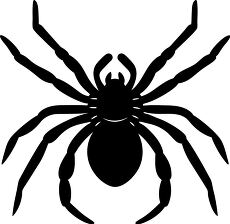 spider silhouette