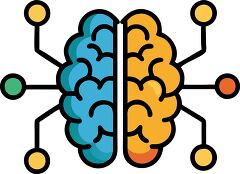 Stylized Brain Illustration with Neural Connections