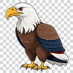 Transparent Cartoon of American Bald Eagle