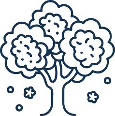 tree with blossoms solid line icon