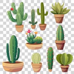 Variety of Colorful Cacti in Decorative Pots