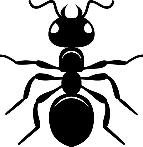 Detailed Silhouette of an Ant Insect in Black Color