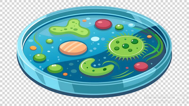 Bacteria Growth in a Colorful Petri Dish Under Observation