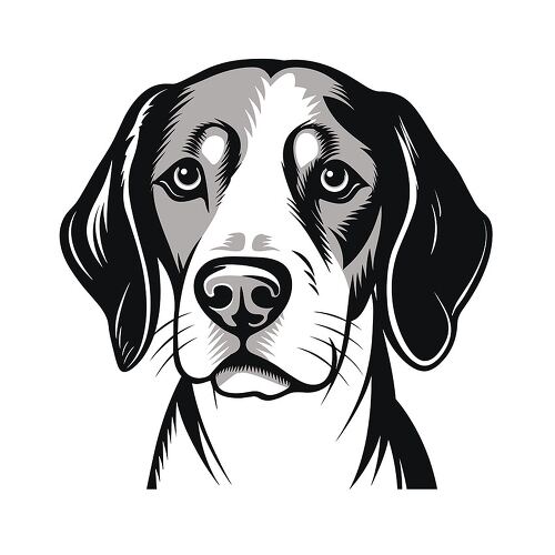 Detailed black outline illustration of a beagle dog face