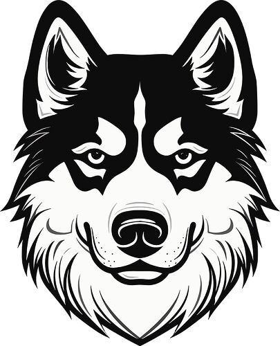 Detailed black outline of a Siberian Husky dog face portrays elegance