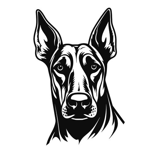 Black outline drawing features the face of a Doberman Pinscher