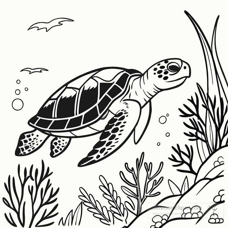 A black and white line drawing showcases a sea turtle gliding gracefully through the water surrounded by coral and marine plants with bubbles rising all around it