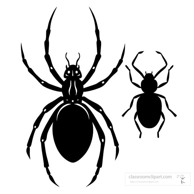 This graphic features a black widow spider and a beetle in silhouette form The design highlights their distinct shapes and features ideal for educational or decorative purposes