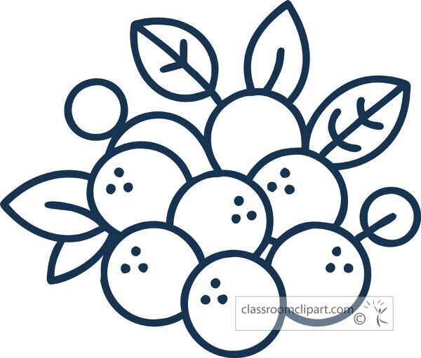  line icon showcases a cluster of blueberries