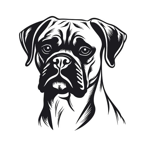 Black outline illustration of a strong-faced boxer dog