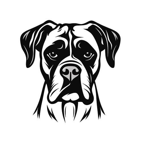 Detailed illustration of a boxer dogs face featuring bold outlines