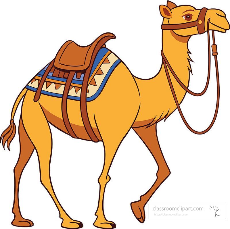 A single hump camel is depicted in a vibrant clip art style featuring a bridle and a colorful saddle The camel stands proudly showcasing its sturdy build and details