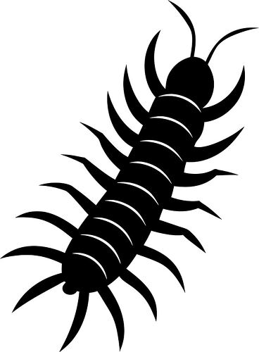 Detailed centipede silhouette