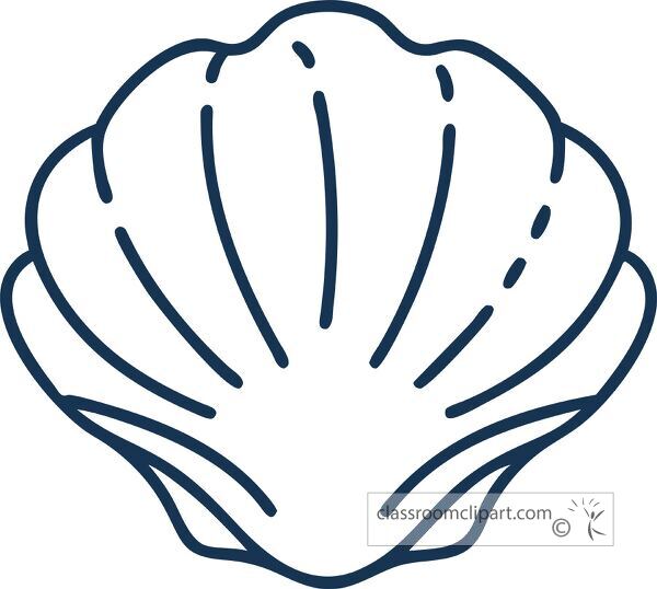 Outline drawing of a clam shell depicting its unique shape and features